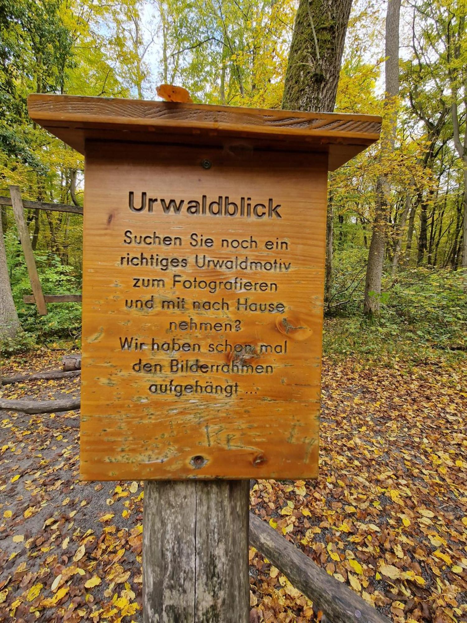 B&B Talstation Horselberg-Hainich Buitenkant foto